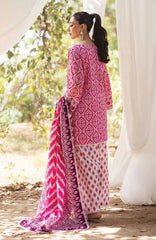 ZNB CHTANI Lawn Unstitched Embroided